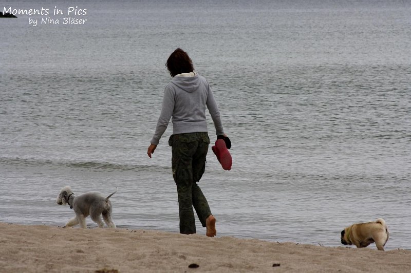 2010-06-26 Arc-en-ciel Arlequin (2).jpg